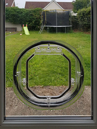 Large dog flap in glass door installation Coastal Glass and Glazing Services Swansea